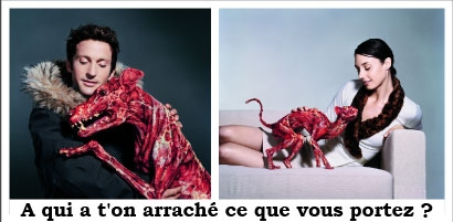 torture animaux